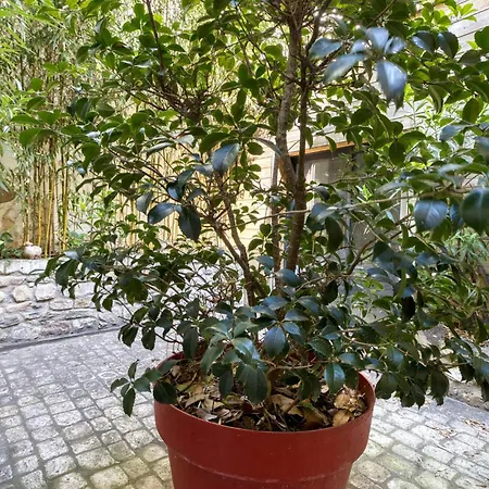 شقة 1 Bedroom Cozy In لا روشيل